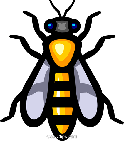 Insect Clipart Wasp Clipart Freeuse Library - Molecular Genetics In Relation To Evolution (422x480)