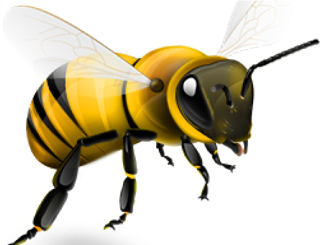 Wasp Clipart Madhumakhi - Bee Png Icon (640x480)