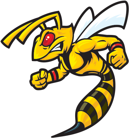 Printed Vinyl Bee Wasp - Characteristics Of Common Wasps And Bees (600x600)