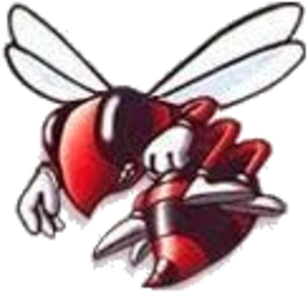 The Chillicothe Hornets Defeat The Pembroke Hill Raiders - Honeybee (720x659)