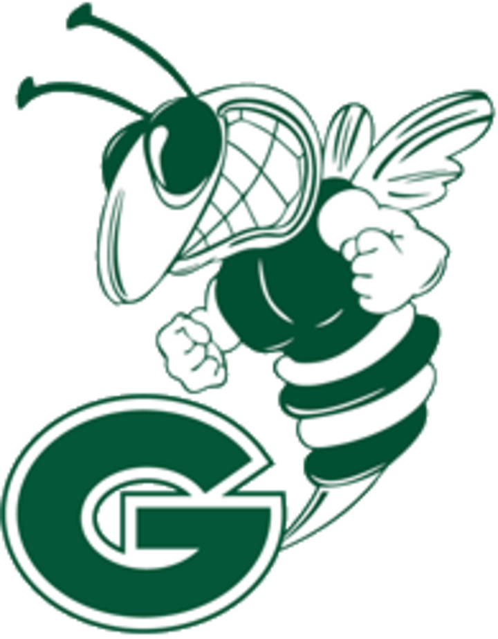 Greenhill Hornet (720x923)