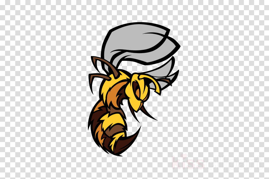 Black Wasp Car Decals Clipart Honey Bee Hornet - White Snapchat Icon Png (900x600)