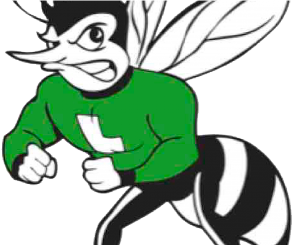Hornet Clipart Transparent - Lincoln High School San Diego Hornets (640x480)