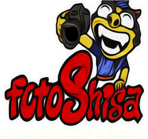 Portrait Clipart Wedding Photographer - Portable Network Graphics (640x480)