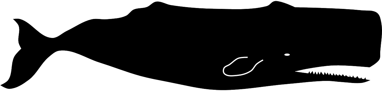 Sperm Whale Clipart Giant - Sperm Whale Silhouette (1280x640)