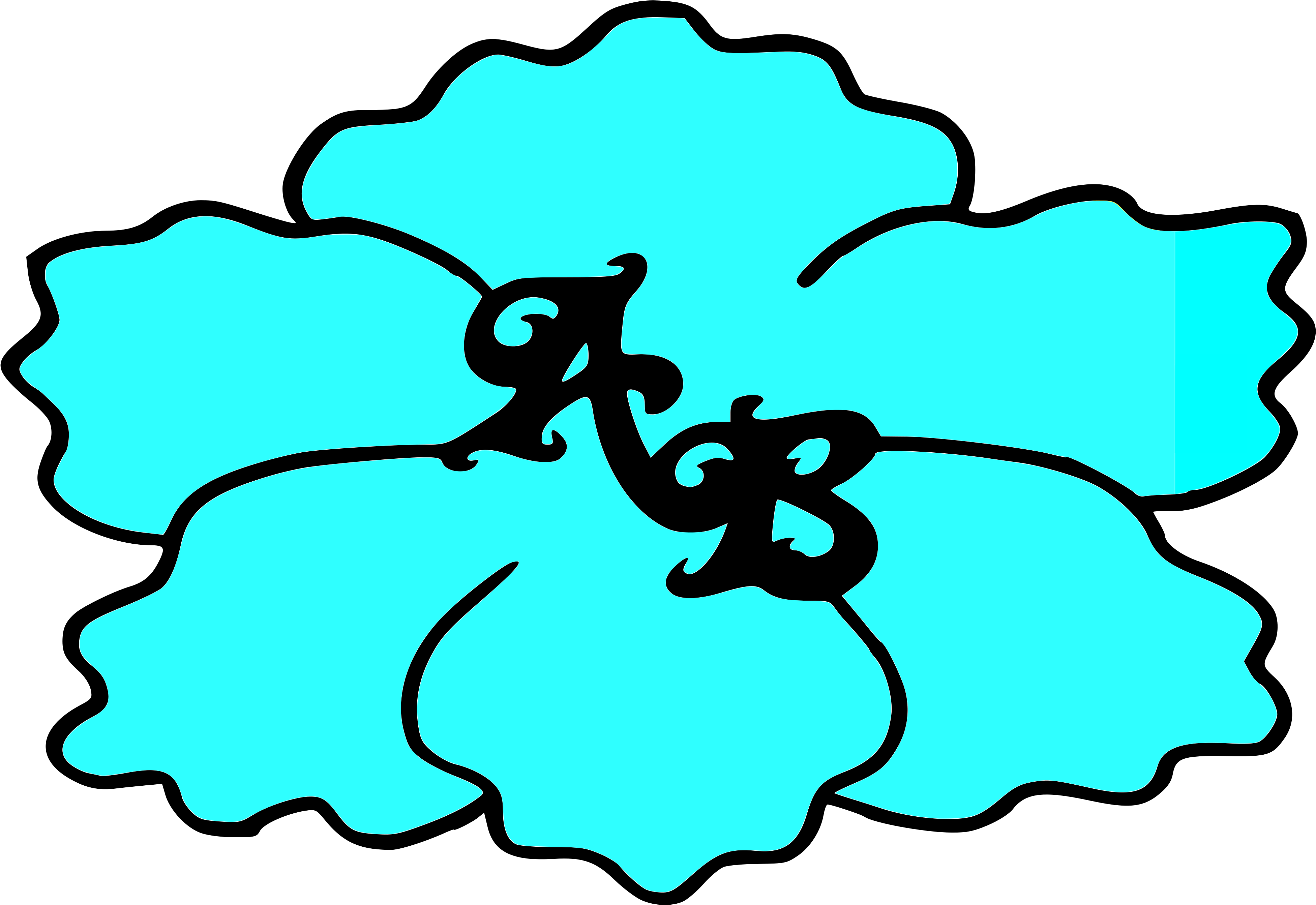 Awesome Blossom - Flower (6333x4207)