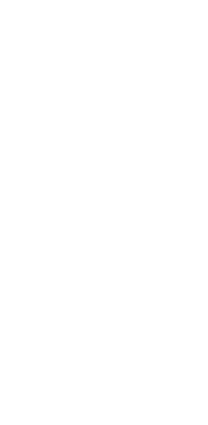 The Brand Toolbox - Citadel Logo (411x840)