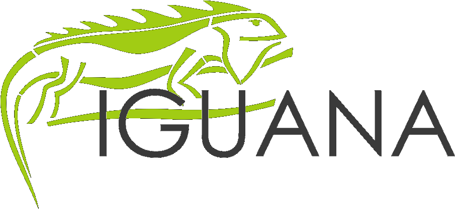 Iguana Design - Iguana Design (947x460)