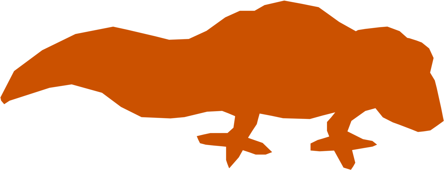 All Photo Png Clipart - Clip Art (1693x750)