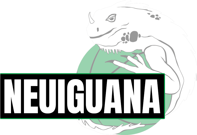 Neuzugang Bei Den Iguanas - Teziutlán (805x567)