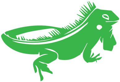 Svg Transparent Stock Top Species From Chameleons - Iguana Cartoon Png (532x272)