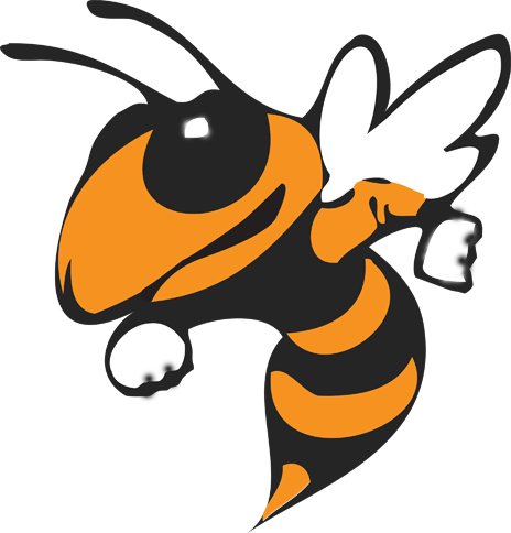 Efisd Gets A New Site - Hillsdale Hornets (464x484)