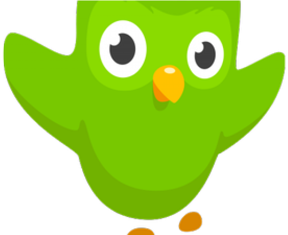Problem Clipart Current Status - Duolingo Icon (640x480)