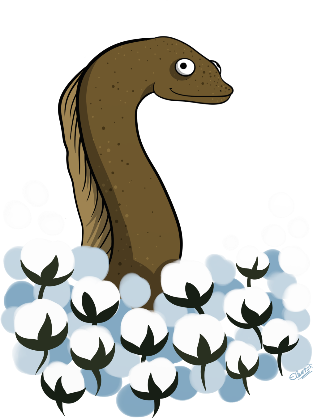 Cotton Clipart Cotton Field - Eel (1024x1365)