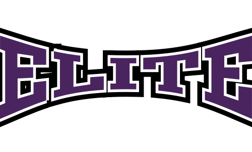 Fruit Of The Loom Heavy Cotton Hd 100% Cotton T-shirt - Logo Nebraska Elite Volleyball Png (500x302)