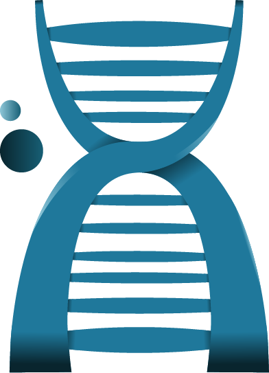 Cmt Is Caused By A Faulty Gene In The Peripheral Nervous - Dna (392x543)