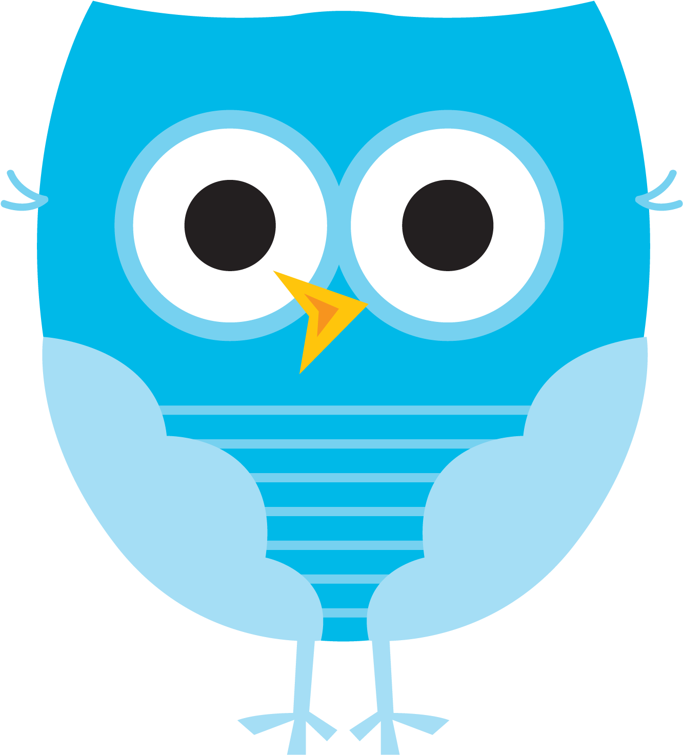 Photo By @daniellemoraesfalcao - Owl (1359x1500)