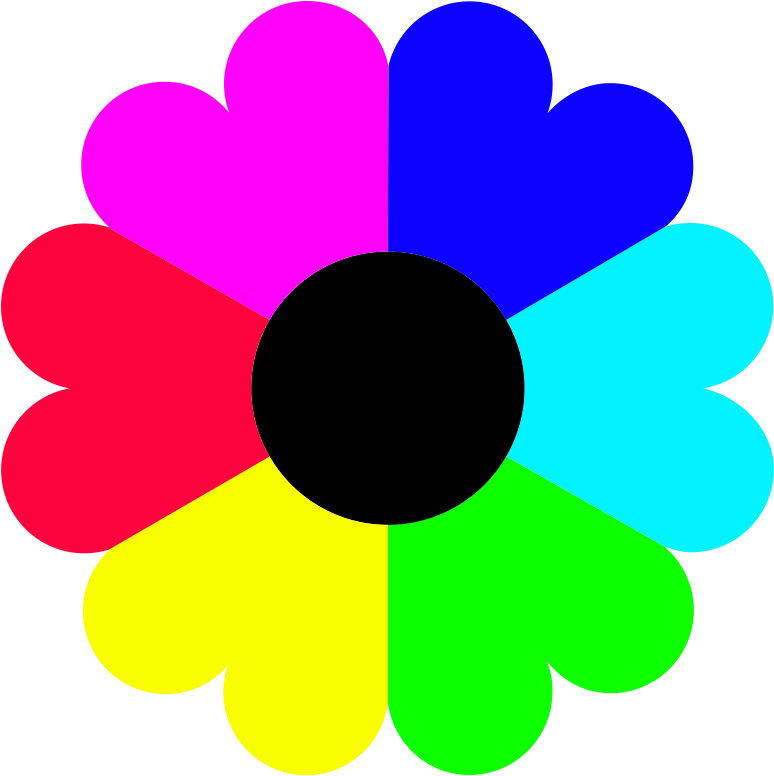 Color Drawing Petal Computer Icons - Flower Clip Art Colour (800x800)