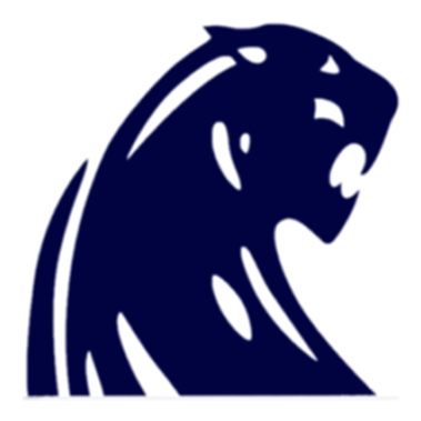 Dewitt Panthers - Dewitt High School Panthers (385x386)