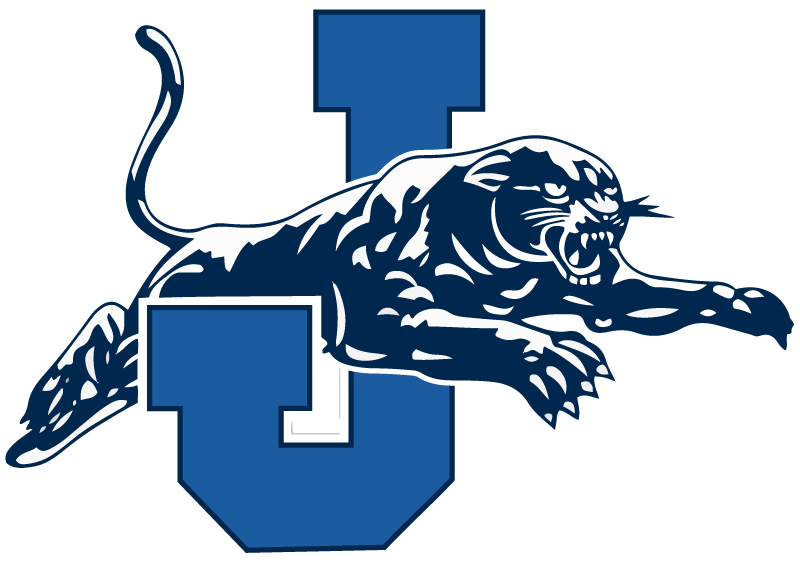Jerseyville Panthers Logo (800x562)