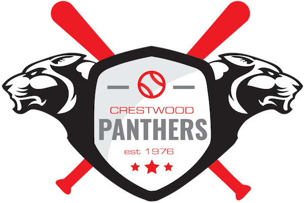 Proud Affiliate - Carolina Panthers (600x401)