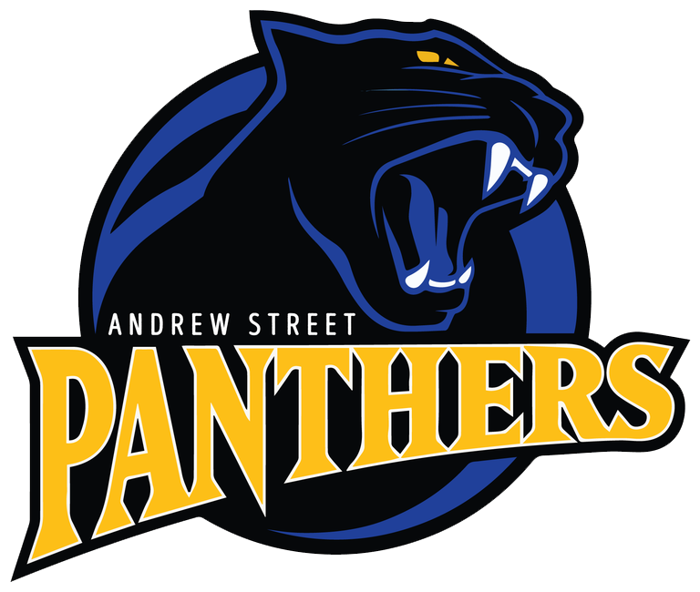 School Logo Image - Propel Andrew Street Panthers Logo (800x800)