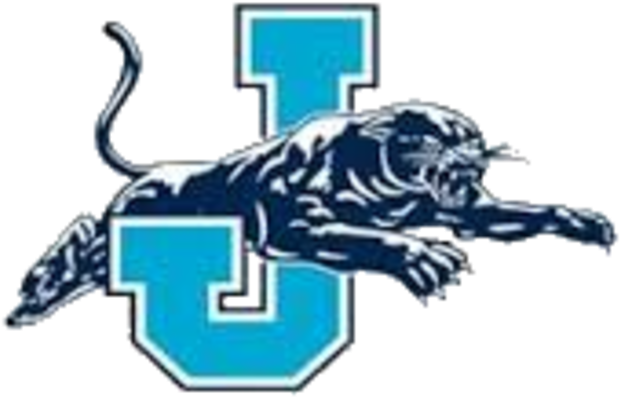 Jerseyville Panthers Logo (720x552)