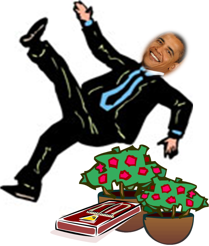 Obama May Fall Into Bush - Pure Country Weavers President Obama Pillow (702x826)