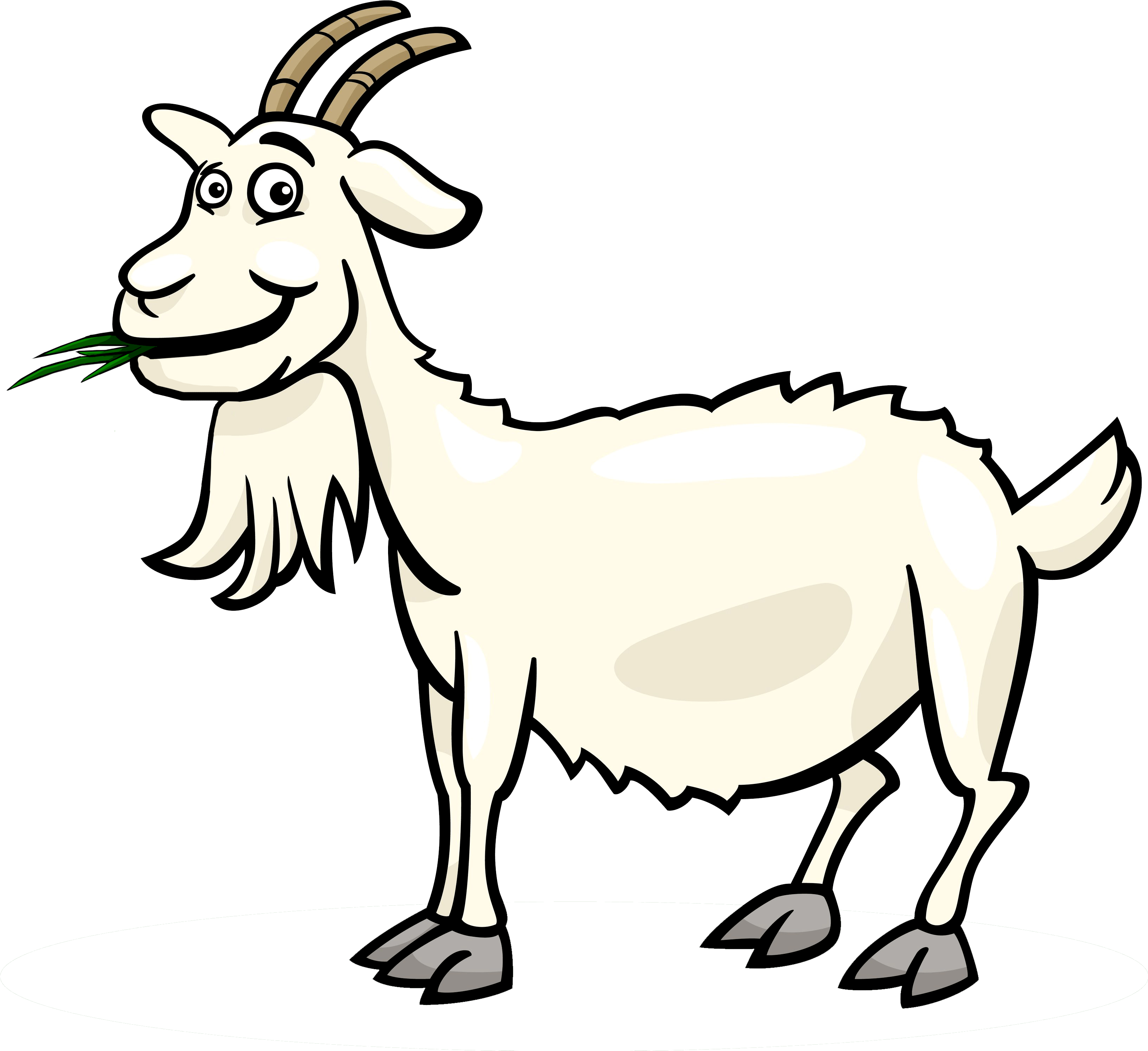 Sheep Goat Clipart.