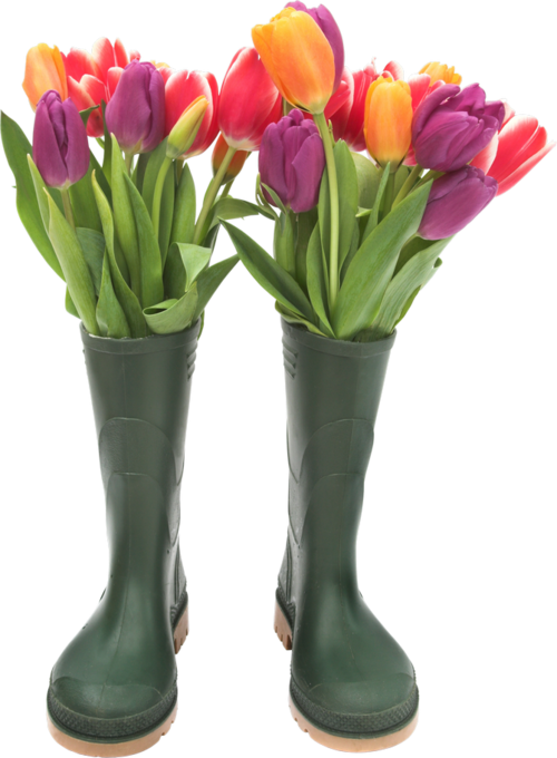 Flower Tubes / Bouquets - Цветы В Резиновых Сапогах (500x680)