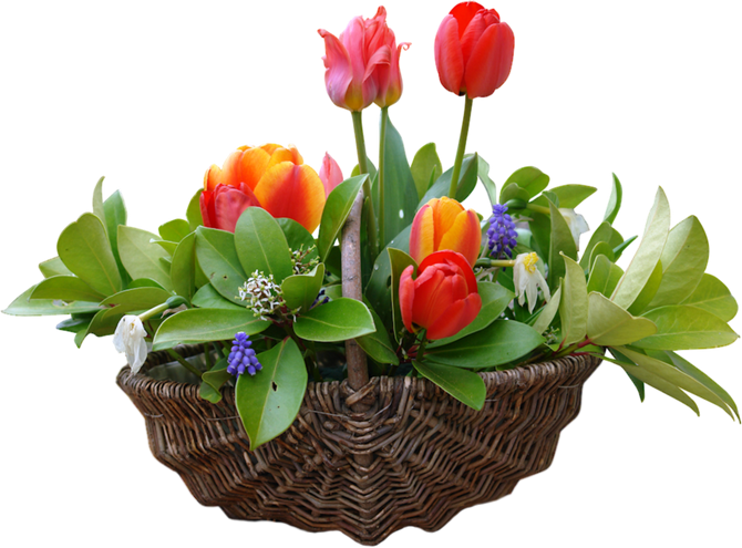 Tubes Fleurs / Bouquets - Quotes (670x495)