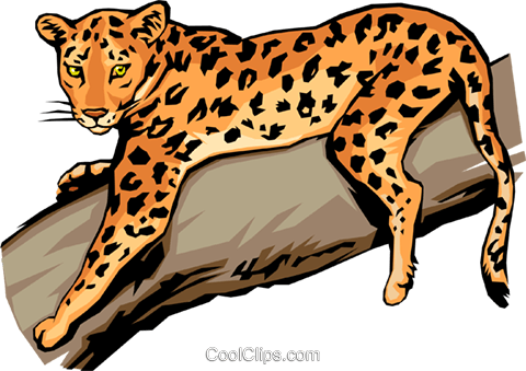 Leopard Royalty Free Vector Clip Art Illustration - Leopard In A Tree Clipart (480x339)