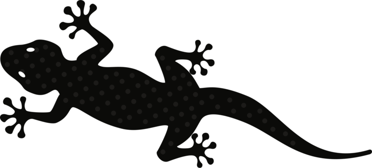Gecko Reptile Lizard Gekkota Chameleons - Gecko Reptile Lizard Gekkota Chameleons (751x340)