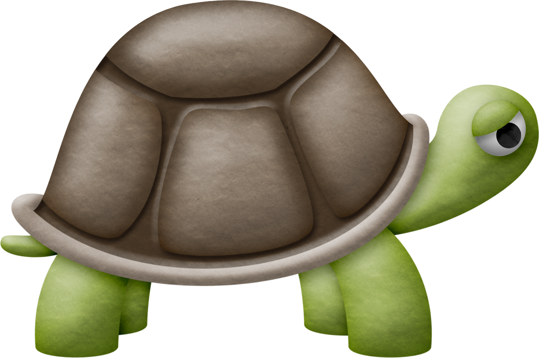 Oursweetserendipity - Com - Galápagos Tortoise (1112x738)