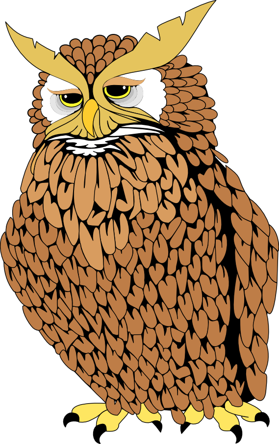 Owl Realistic - Penta Owl12 Square Sticker 3" X 3" (569x903)