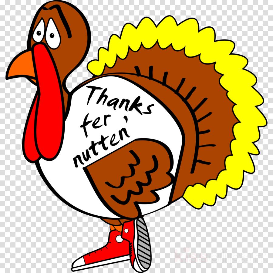 Funny Thanksgiving Clipart Thanksgiving Clip Art - Thanksgiving Funny Turkeys (900x900)