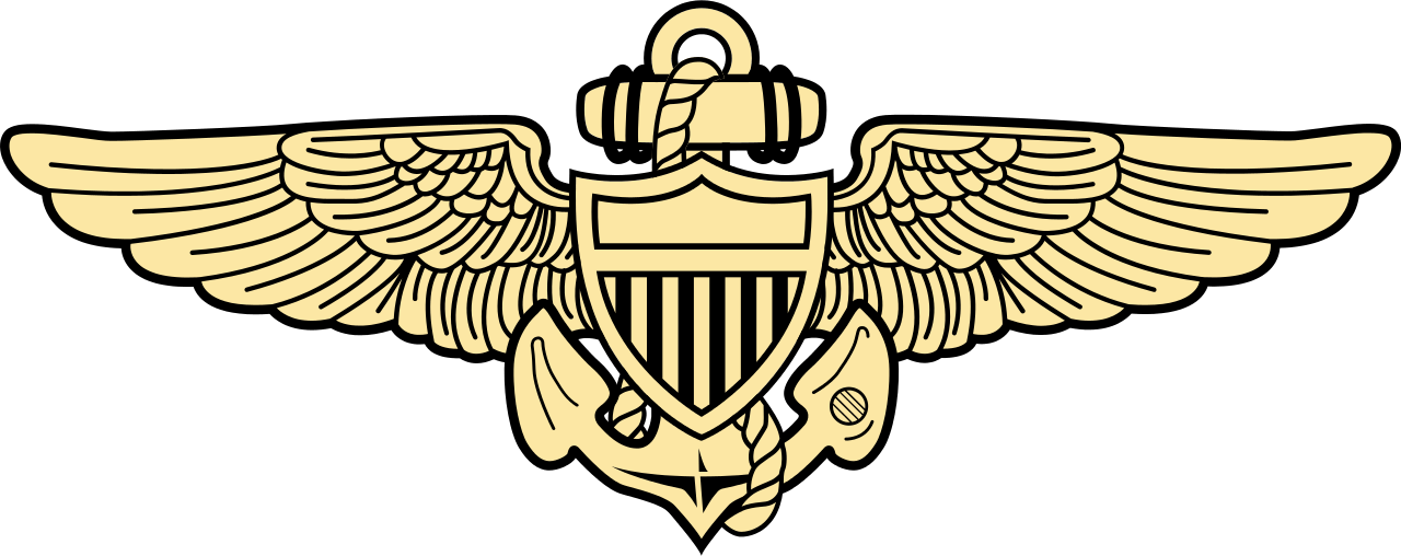 Faa Drone Pilot Wings (1280x508)