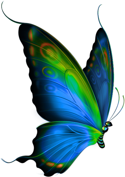 Papillons - Blue Color Butterfly Png (469x600)
