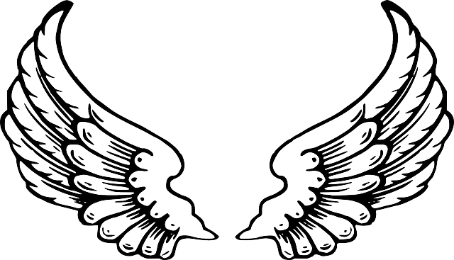 Free Vector Graphic - Angel Wings Jpg (640x367)