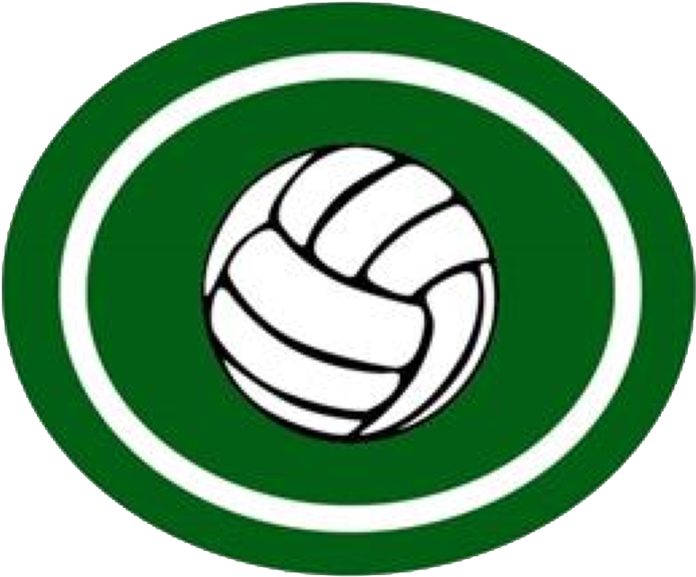 31, 10 March 2015 - Volleyball Ball (781x657)
