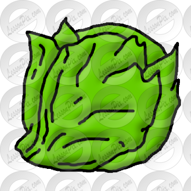 Lettuce Clip Art Lettuce Picture For Classroom Therapy - Clip Art (380x380)