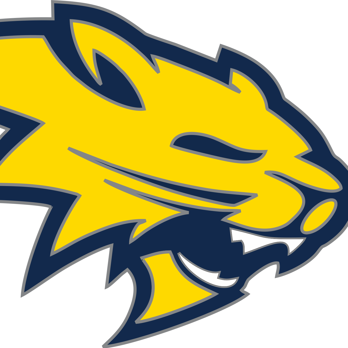 Coachfigi - Neuqua Valley High School (1416x1416)