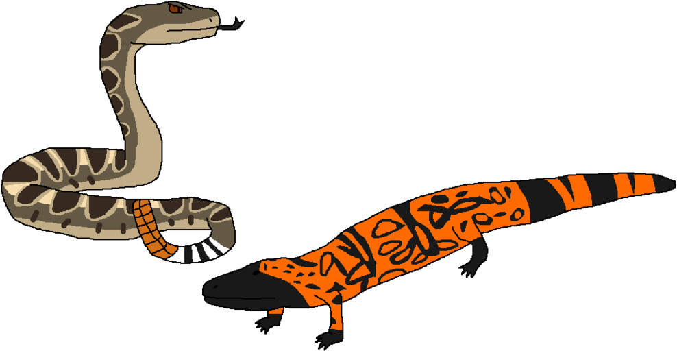 Gila Monster Art - Drawing (1024x538)
