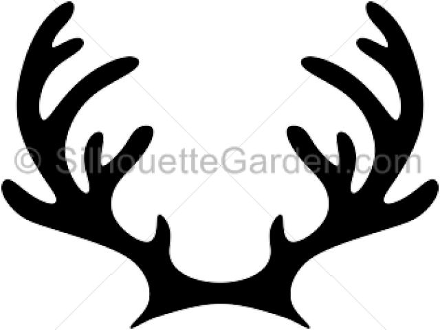 Antler Clipart Moose - Reindeer Antlers Silhouette (640x480)