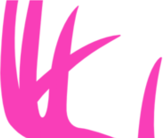 Antler Clipart Deer Logo - Antler Clipart Deer Logo (640x480)