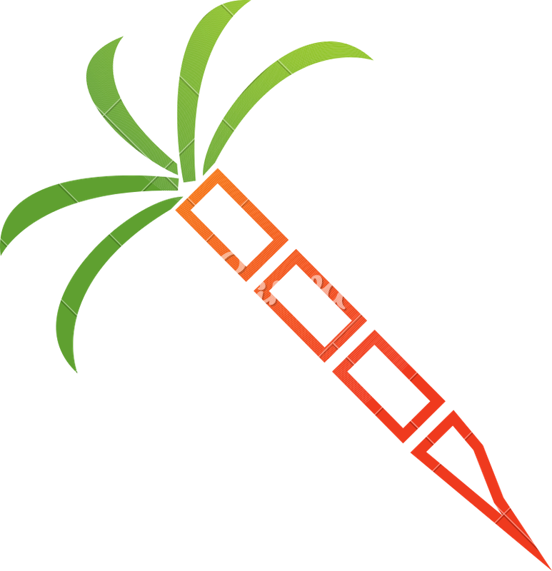 Sugarcane Isolated Illustration - Sugarcane Isolated Illustration (773x800)