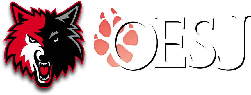 Oesj Central School District - Minnesota Timberwolves Team Logo Sports Photo (8 X (872x330)