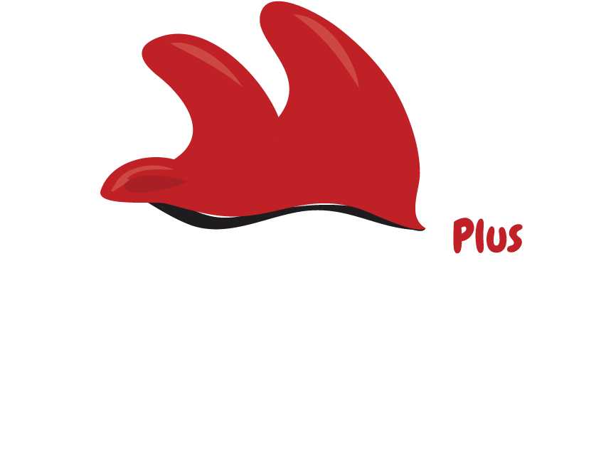 Don Pollo Plus - Don Pollo Plus (907x907)