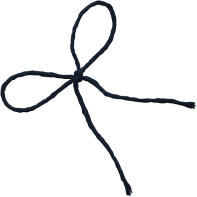 Shoelaces Png, Download Png Image With Transparent - Shoelace Bow Png (400x400)