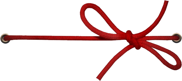 Shoelace Knot (612x275)
